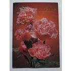 Открытка "С праздником!", не подписанная.