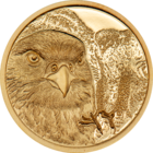 Монголия 1000 тугриков 2023г. "Монгольский Сокол". PROOF Монета в капсуле; подарочной рамке - футляре; сертификат; коробка. ЗОЛОТО 3,11гр.(1/10 oz).