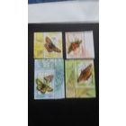 РБ 2004 4м бабочки  К