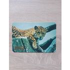 Календарик 1993