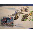 1008. Фауна Птица года. Обыкновенная кукушка. (Bird Life) 2014 год. Беларусь Карточка СГ