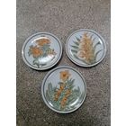 Настенные тарелки Минского ФФЗ цветы и растительность, цена за все