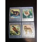 Польша 1977 фауна
