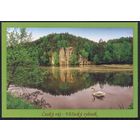 Чехия открытка фауна птицы лебедь