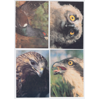 Календари Рекламное агентство ПЛАНЕТА (животные) 1992-1993