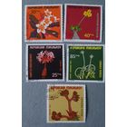 Мадагаскар цветы 5шт