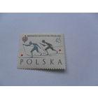 Польша, лыжи