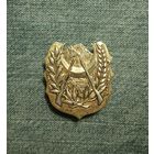 Кокарда Алжира