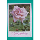 Матанов Н., С днем рождения! 1973, подписана.