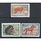 Фауна СССР 1959 год 3 марки