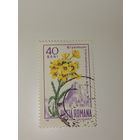 Румыния 1967 Карпатские цветы