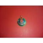 Значок. Пионерский лагерь Зубронак. Пионерия. БССР.