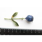 Все лоты с рубля.Брошь роза,металл,латунь?,СССР,старая,редкая .