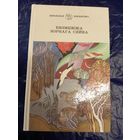 Бязмежжа зорнага сяйва\048