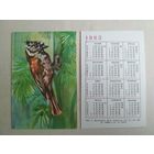 Карманный календарик. Птицы. 1983 год