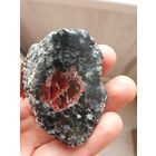 Полированный гранат в породе