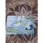 Календарик,реклама