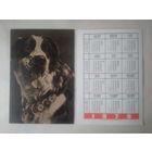 Карманный календарик. Собака.1979 год