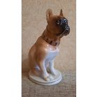 Статуэтка собаки фарфоровая СССР "Боксер" ЛФЗ со сколом
