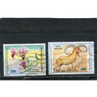 Тунис. Фауна. Цветы и гривистый баран