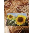 Календарик,пресса,2007