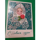 С Новым годом! Соловьев