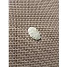 Чешуйка Василий Шуйский с рубля!