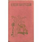 В лесах Белоруссии