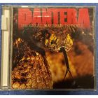 CD,(Japan) Pantera – The Great Southern Trendkill
