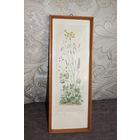 Картина карандашом на бумаге приклеенной к ДВП из серии "Ботаника", подпись, клеймо, размер с рамой 34*12.7 см.