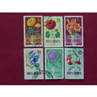 Румыния  1964г. Цветы.