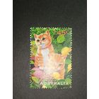 Австралия 1996. Домашние животные