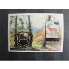 Продажа коллекции с 1 рубля! Чистые почтовые марки РБ в малых листах.