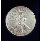 1 доллар 2009 США Американский орёл  Шагающая Свобода