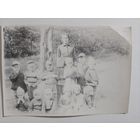 Фото в коллекцию