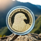 Сокол–сапсан, Золото Au 999, 50 рублей 2006, 7.78 грамма, тираж 2000 шт.