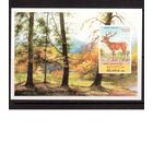 Беларусь-1996,(Мих.Бл.5)  Олень