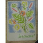 ПОДПИСАННАЯ ОТКРЫТКА СССР. "ПОЗДРАВЛЯЮ". "ИЗОГИЗ" ХУД. Н. ЛЕВЯНТ. 1963 год.