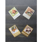 Продажа коллекции с 1 рубля! Чистые почтовые марки РБ в квартблоках. РЕДКОСТЬ.