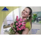 Календарик карманный Страхование Белгосстрах 2015