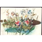 1989 год Н.Селещук Са святам!