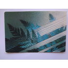 Календарик 1993 г. Беларусфильм.