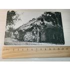 Болота вблизи Рокитно, восточнее Брест-Литовска, 1916 года.