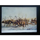 Открытка 1953 г. из СССР.