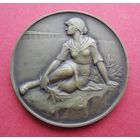 Швейцария. Федеральный стрелковый фестиваль в Беллинцоне 1929 г.