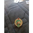 Значок "Юный турист СССР"