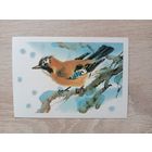 Каневский 1985 мини