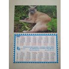 Карманный календарик . Котик. Белпочта. 2002 год