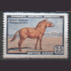 Заг. 2240. 1959. Лошадь Пржевальского. ЧиСт.