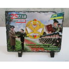 Фото на камне. 25 лет институт пограничной службы